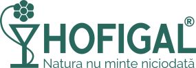 Logo nou Hofigal cu R