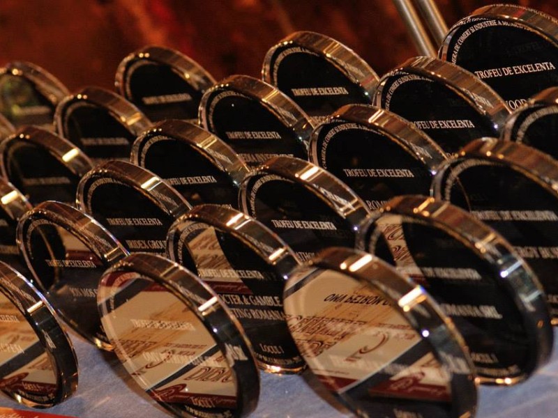 1450847_535421023208552_1074651613_n